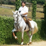 A história de um cavalo
